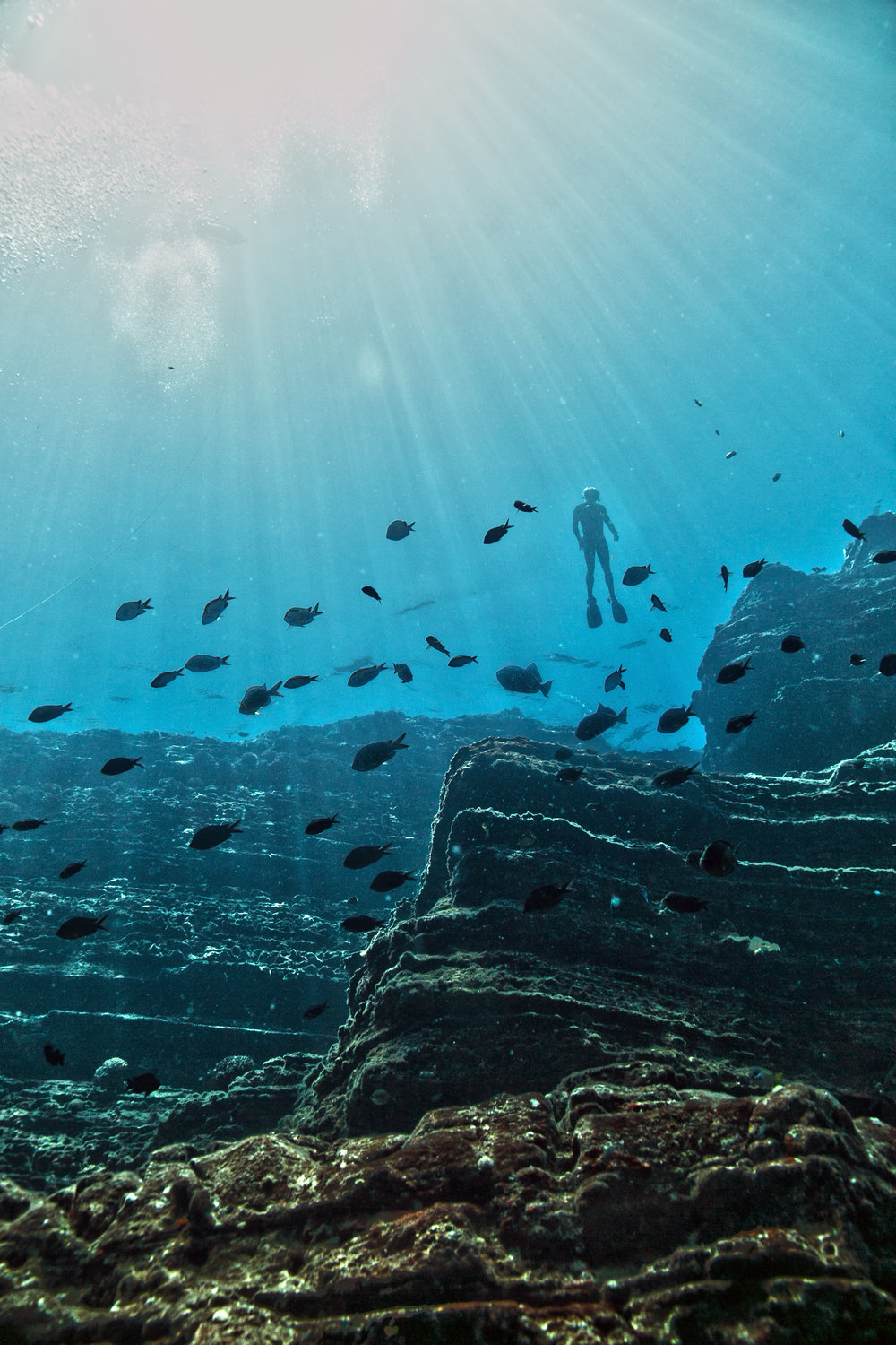 Ken_snorkel_1_Lehua_BURNS.jpg